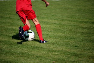 详细阅读:爱游戏app推荐-CBA球队加强后勤保障体系优化训练和比赛准备,cba后备联赛 爱游戏app推荐-CBA球队加强后勤保障体系优化训练和比赛准备,cba后备联赛